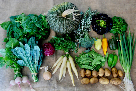 Five Climate Regions of Australia Seed Sowing Guide