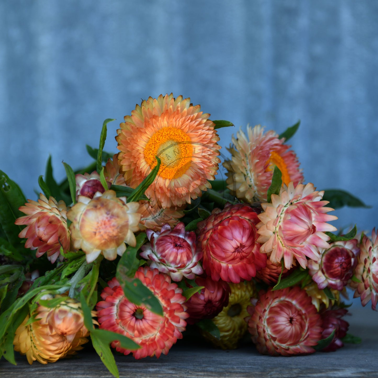 Bouquet of colorful flowers on a wooden surface with a blue textured background