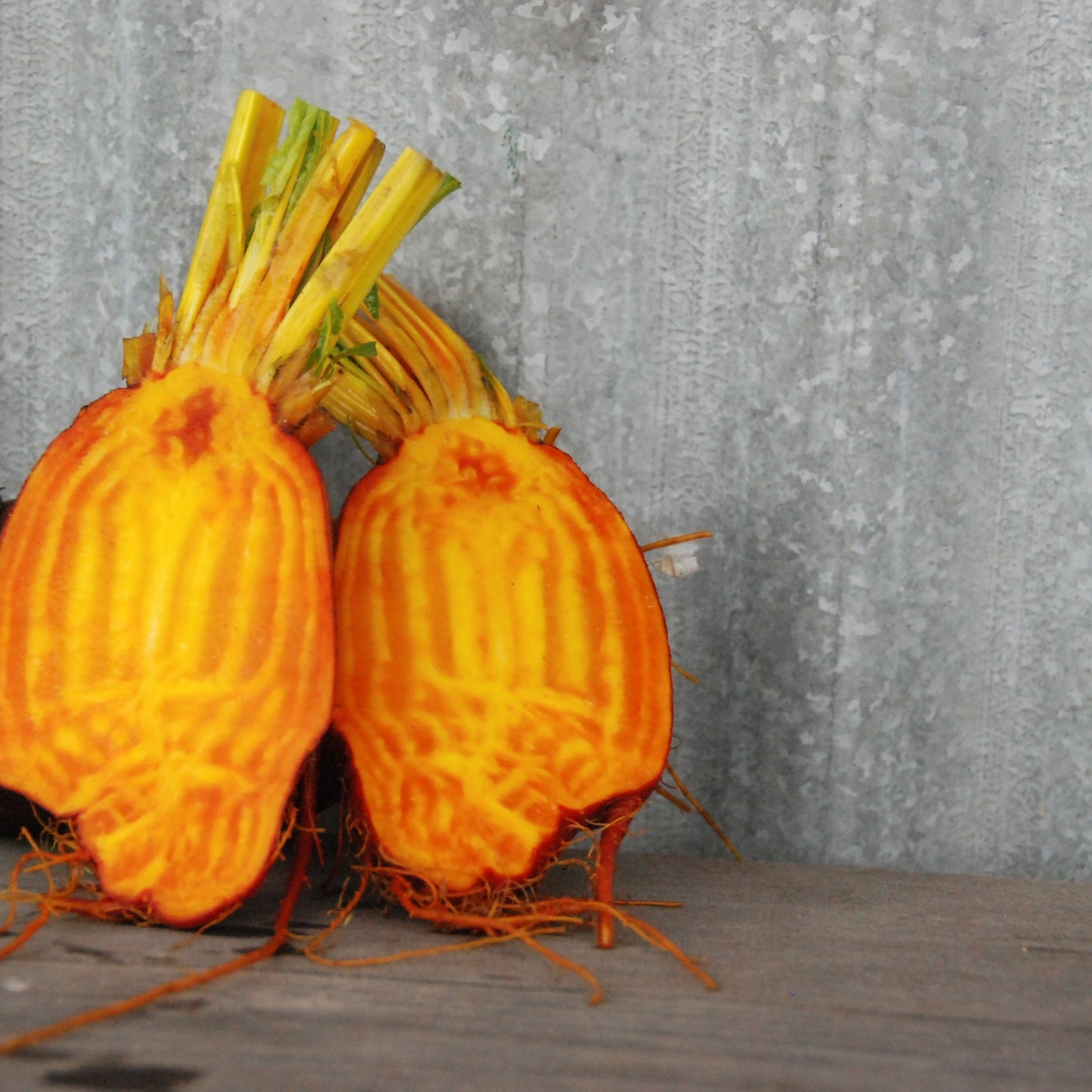 Two orange beetroots on a wooden surface with a gray textured background