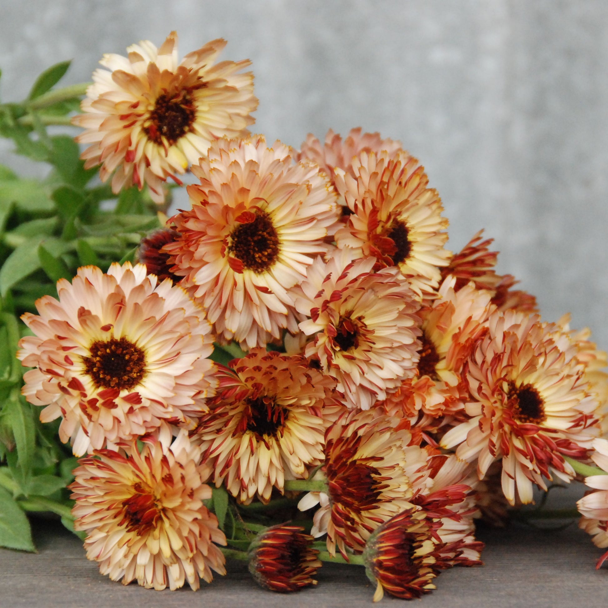Bouquet of orange and yellow flowers with green leaves on a gray surface.