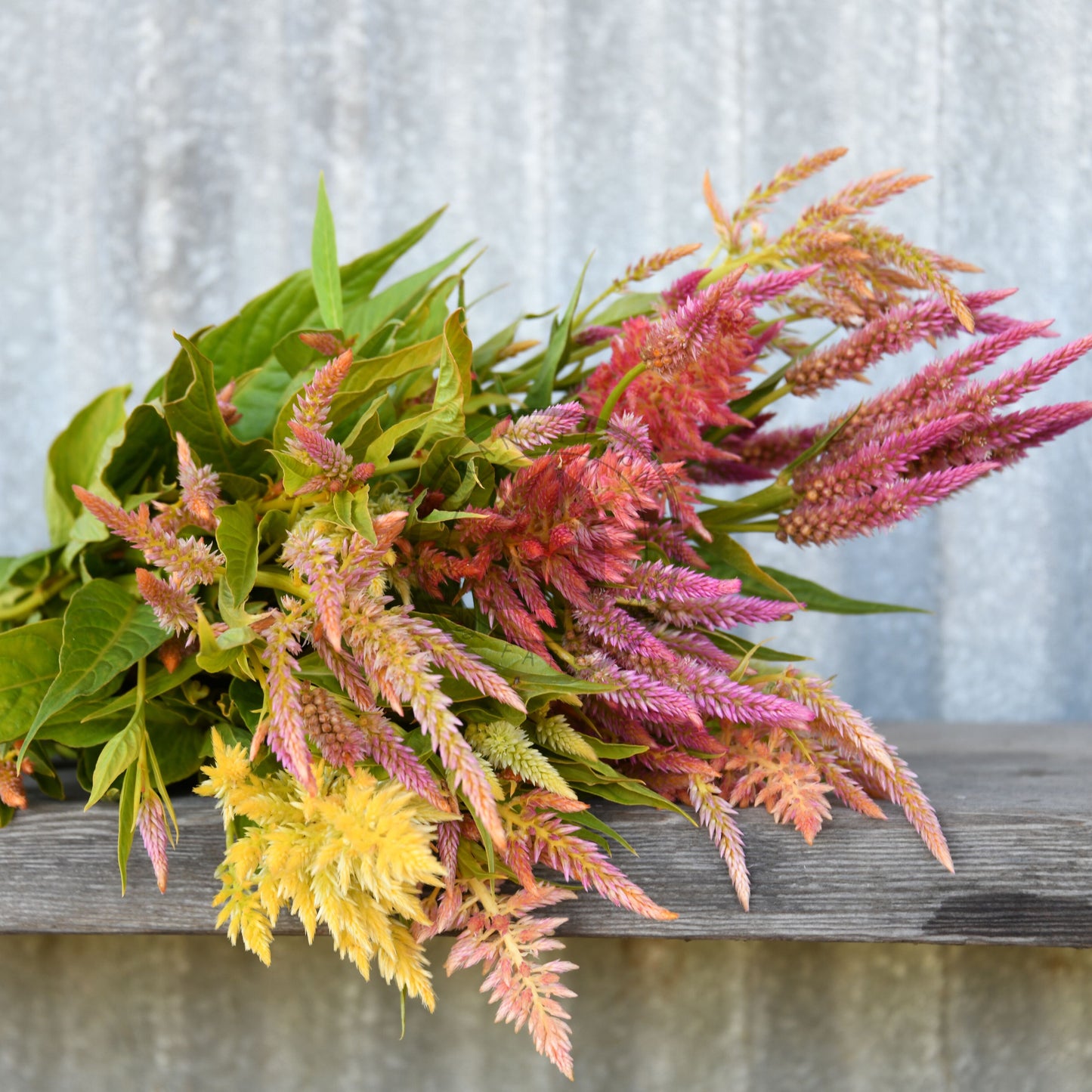 Bouquet of colorful flowers on a wooden surface with a water feature in the background
