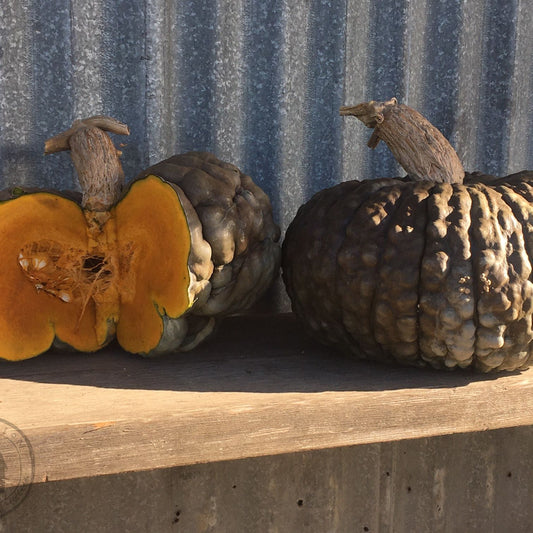 Two pumpkins, one whole and one cut open, on a wooden surface with a corrugated metal background.