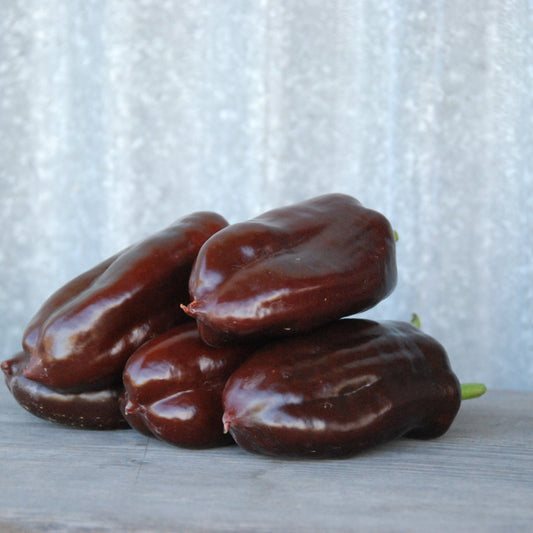 Chocolate capsicums on a wooden surface with a corrugated iron shed behind