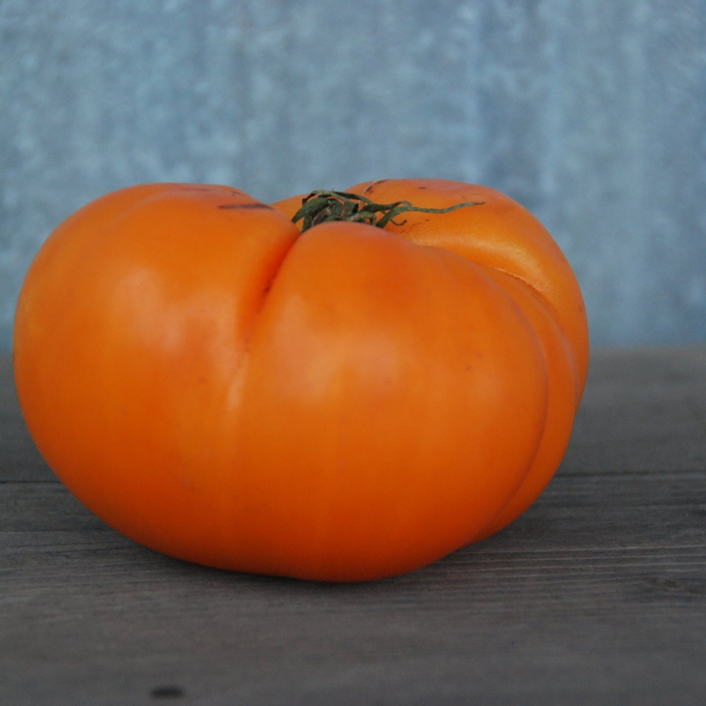 Orange tomato on a wooden surface with a blue textured background