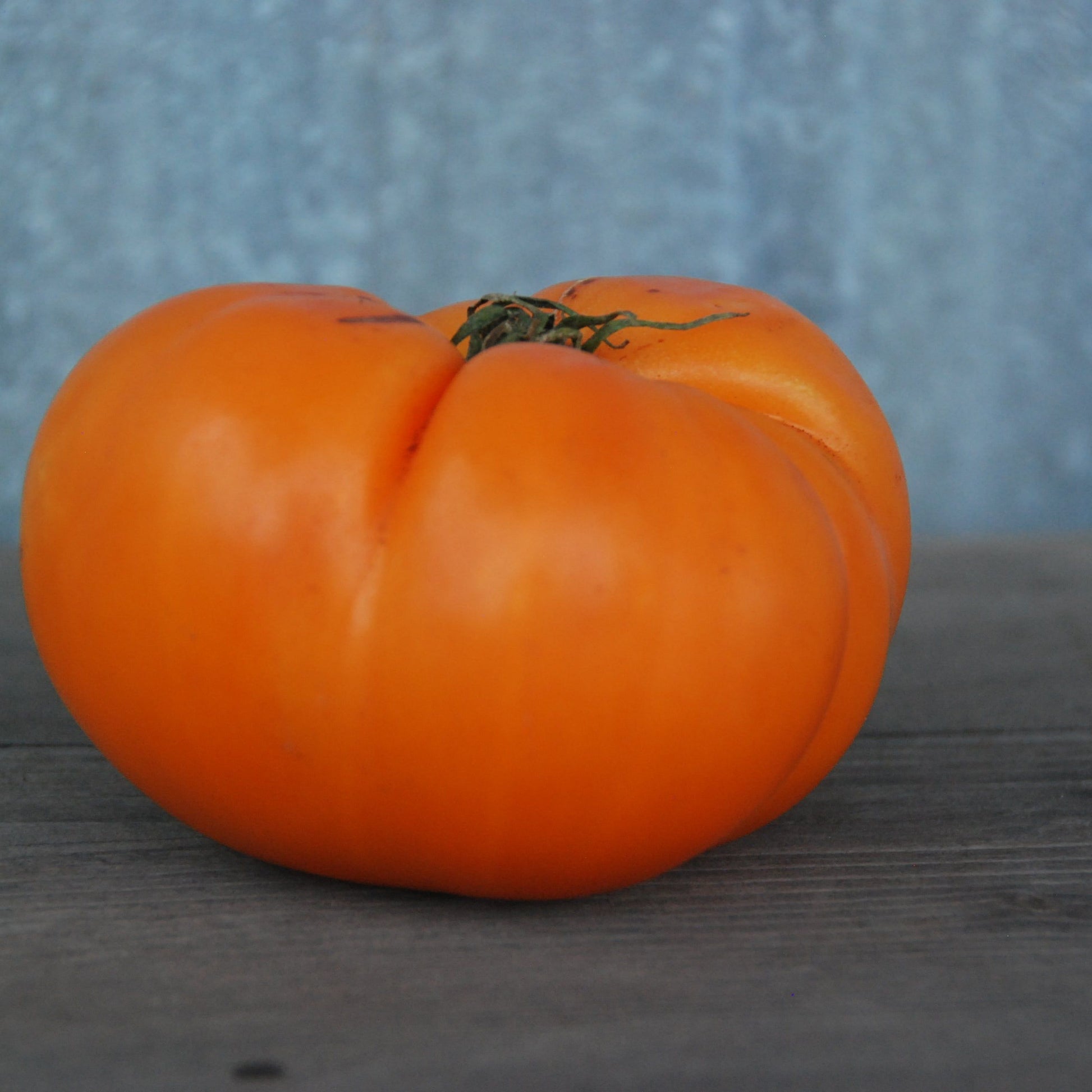 Orange tomato on a wooden surface with a blue textured background