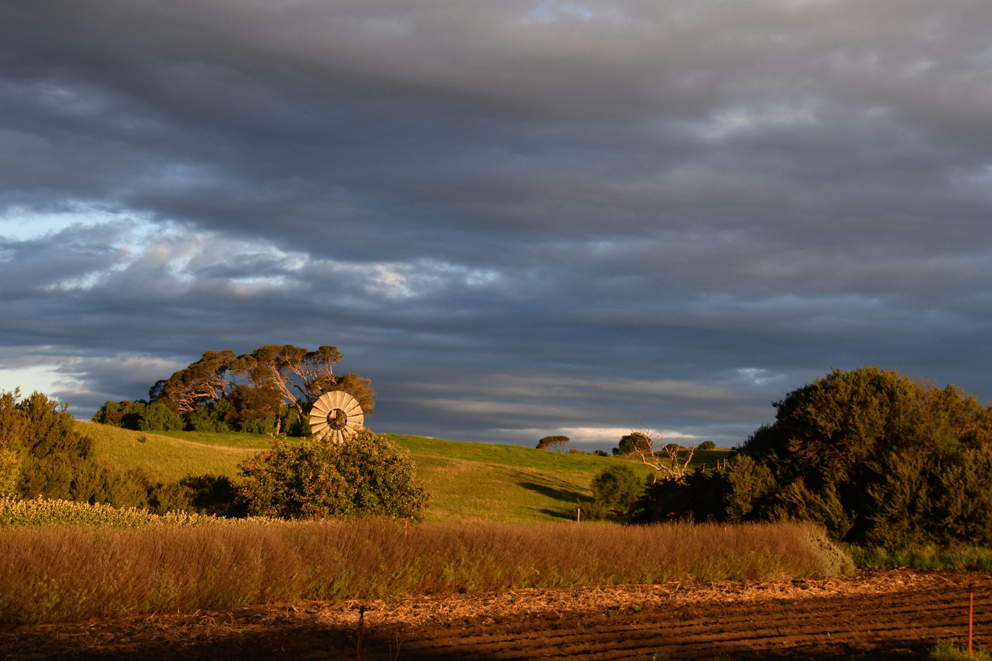 Sunset over a field with trees and a large wheel structure against a dark sky.