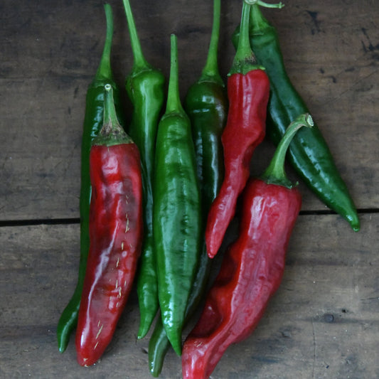 Red and green chili peppers on a wooden surface