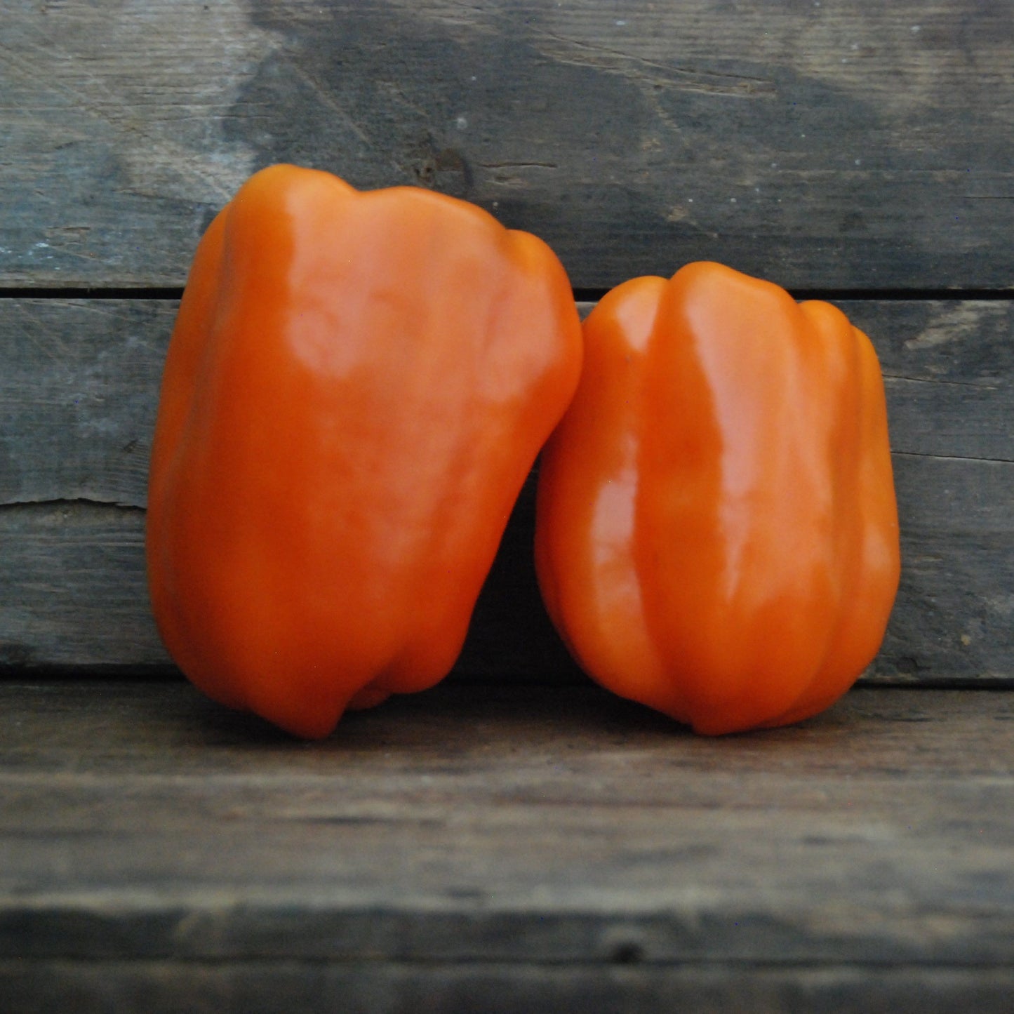 Two orange bell peppers on a wooden surface