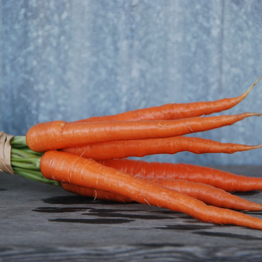 Carrot 'Little Finger'