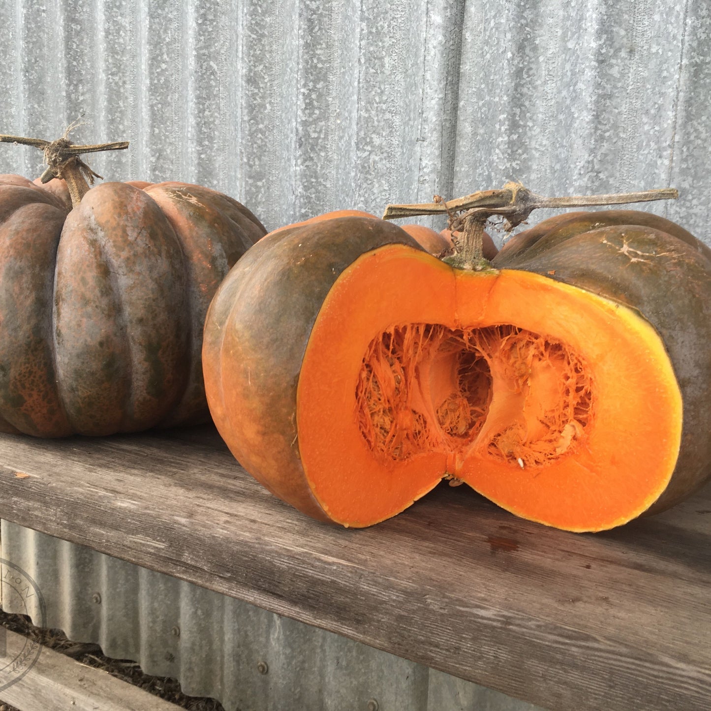 Two pumpkins, one whole and one cut in half, on a wooden surface with a metal wall background.