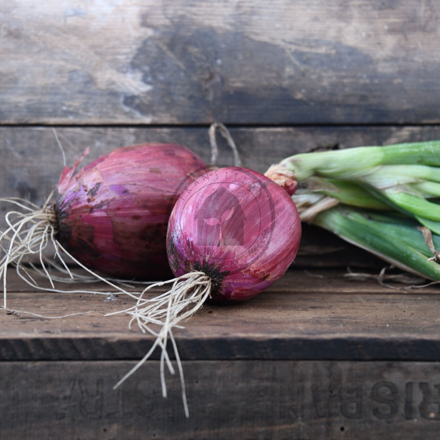 Red onions and green onions on a wooden surface