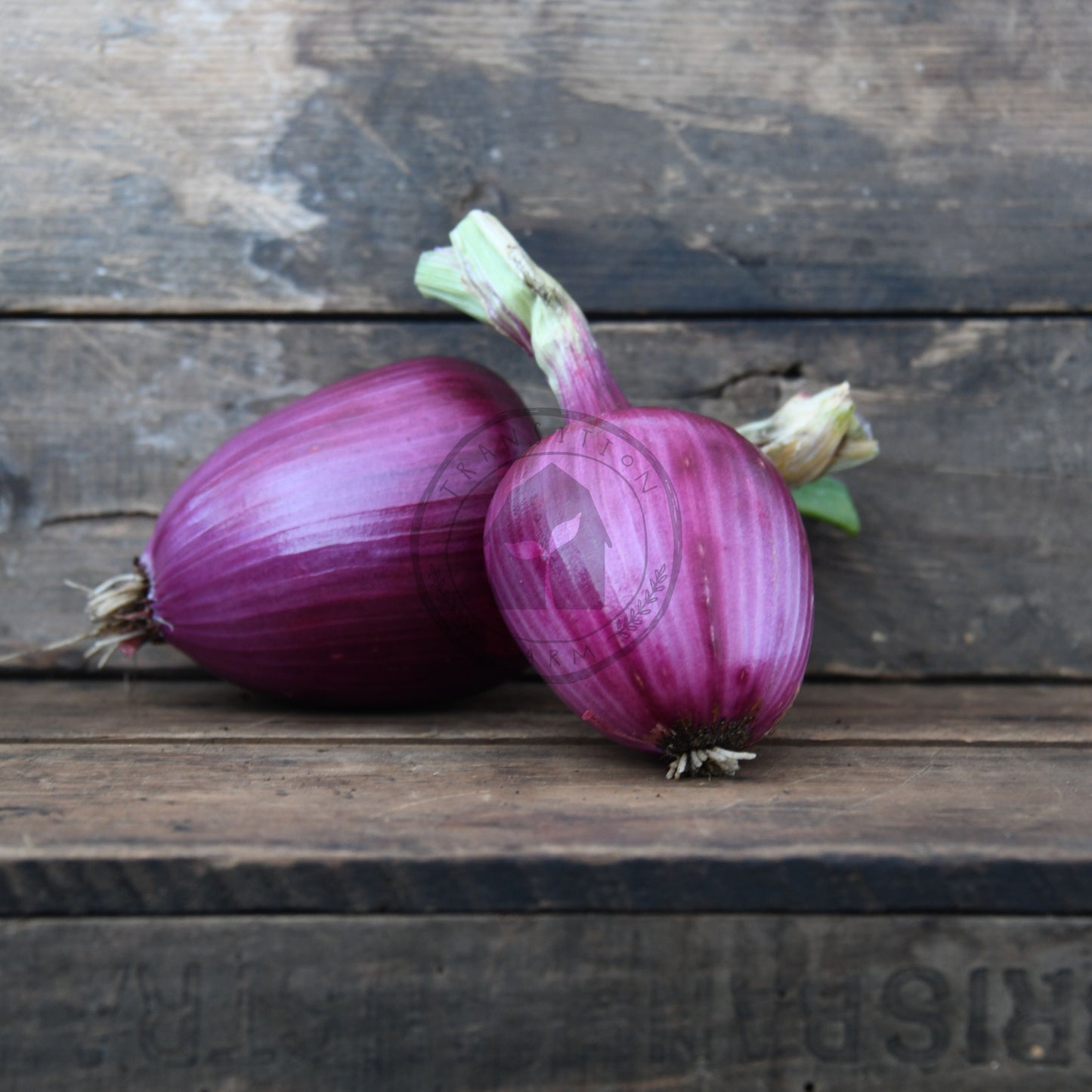 Two purple onions on a wooden surface