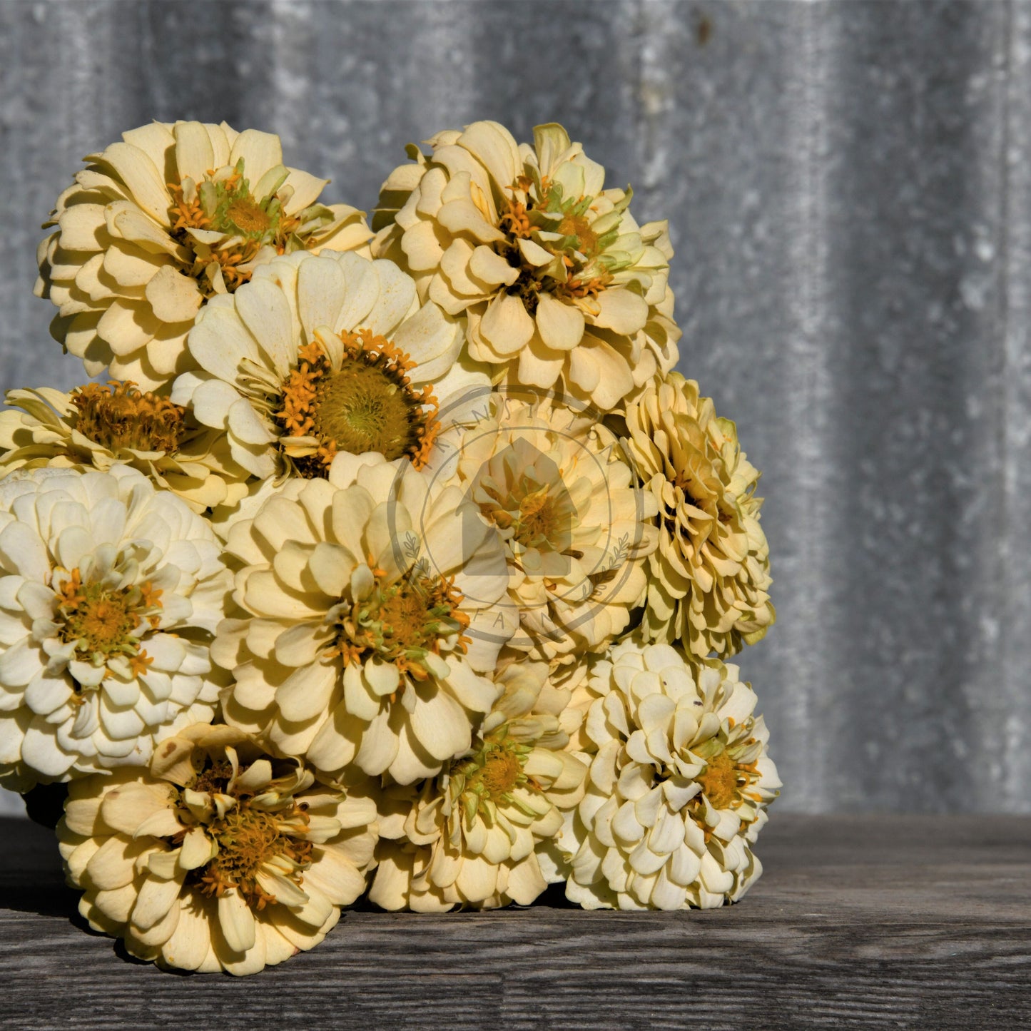 Bouquet of ivory flowers on a wooden surface with a corrugated metal background