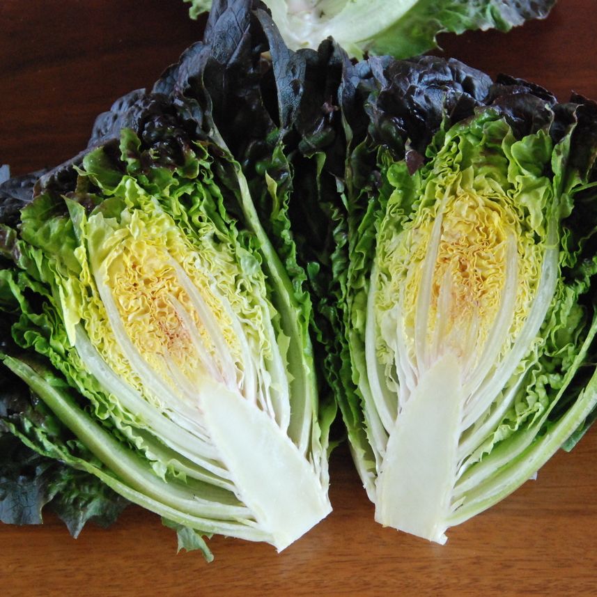 Halved pandero lettuce on a wooden surface