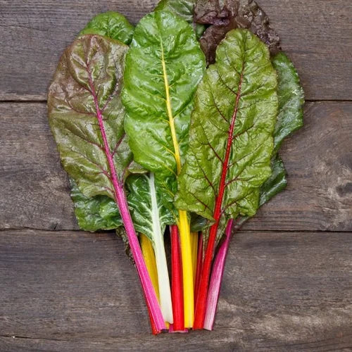 Bunch of swiss chard with red, yellow, and green leaves on a wooden surface