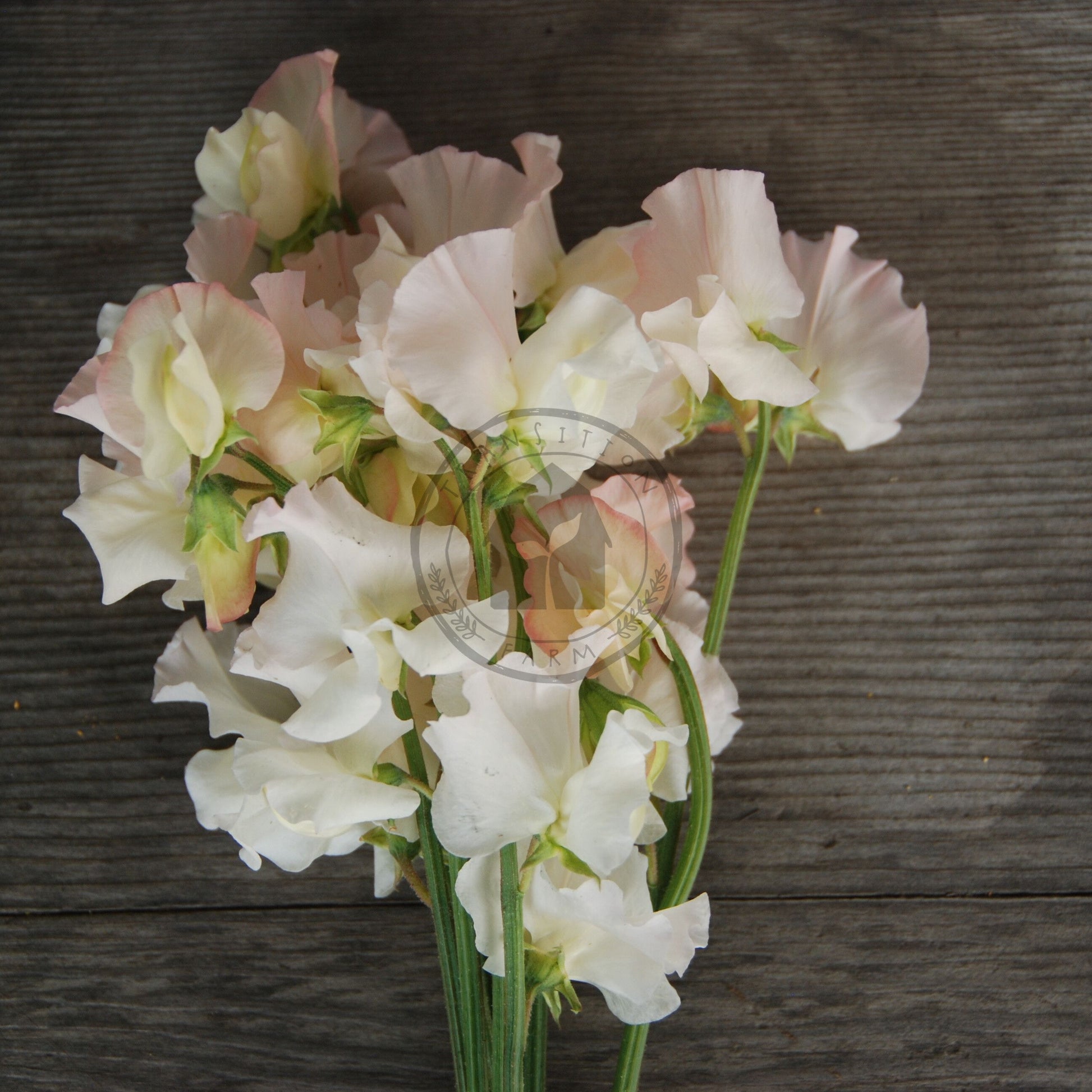 Bouquet of white and pink flowers on a wooden surface