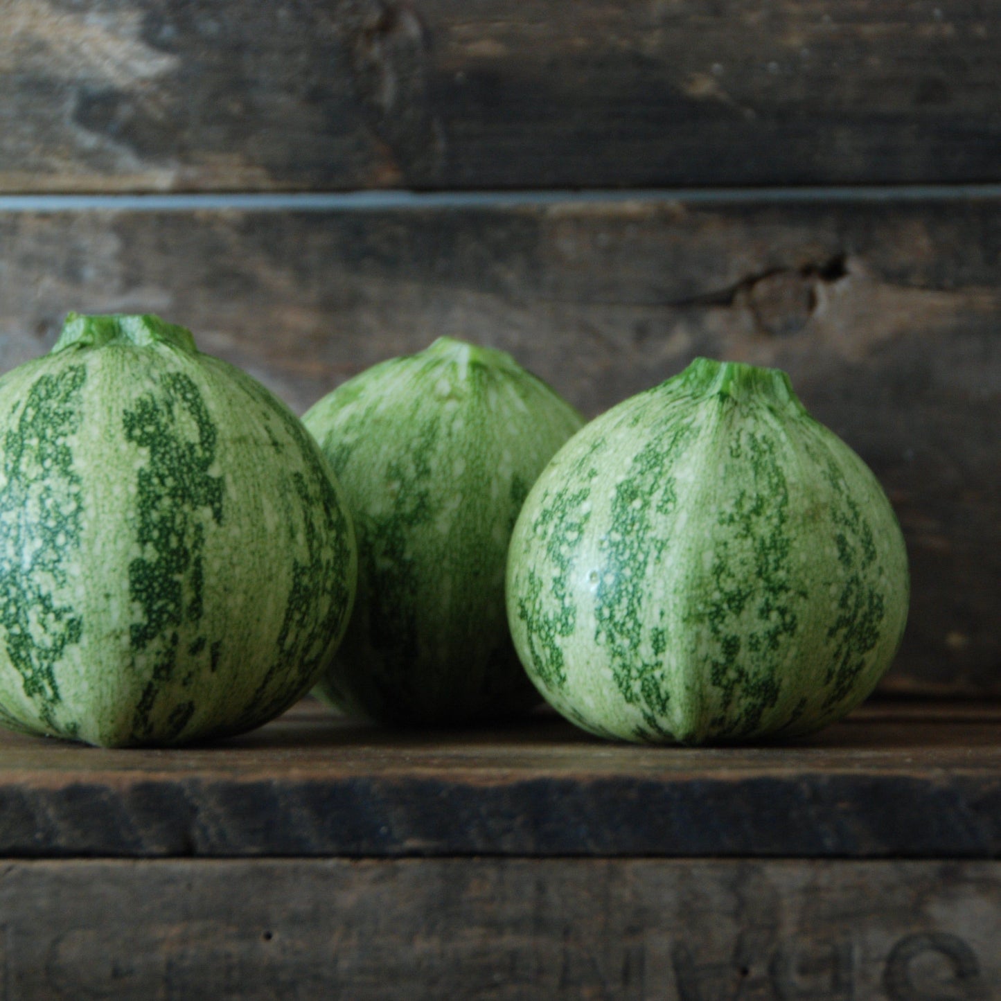 small squash on wood stand