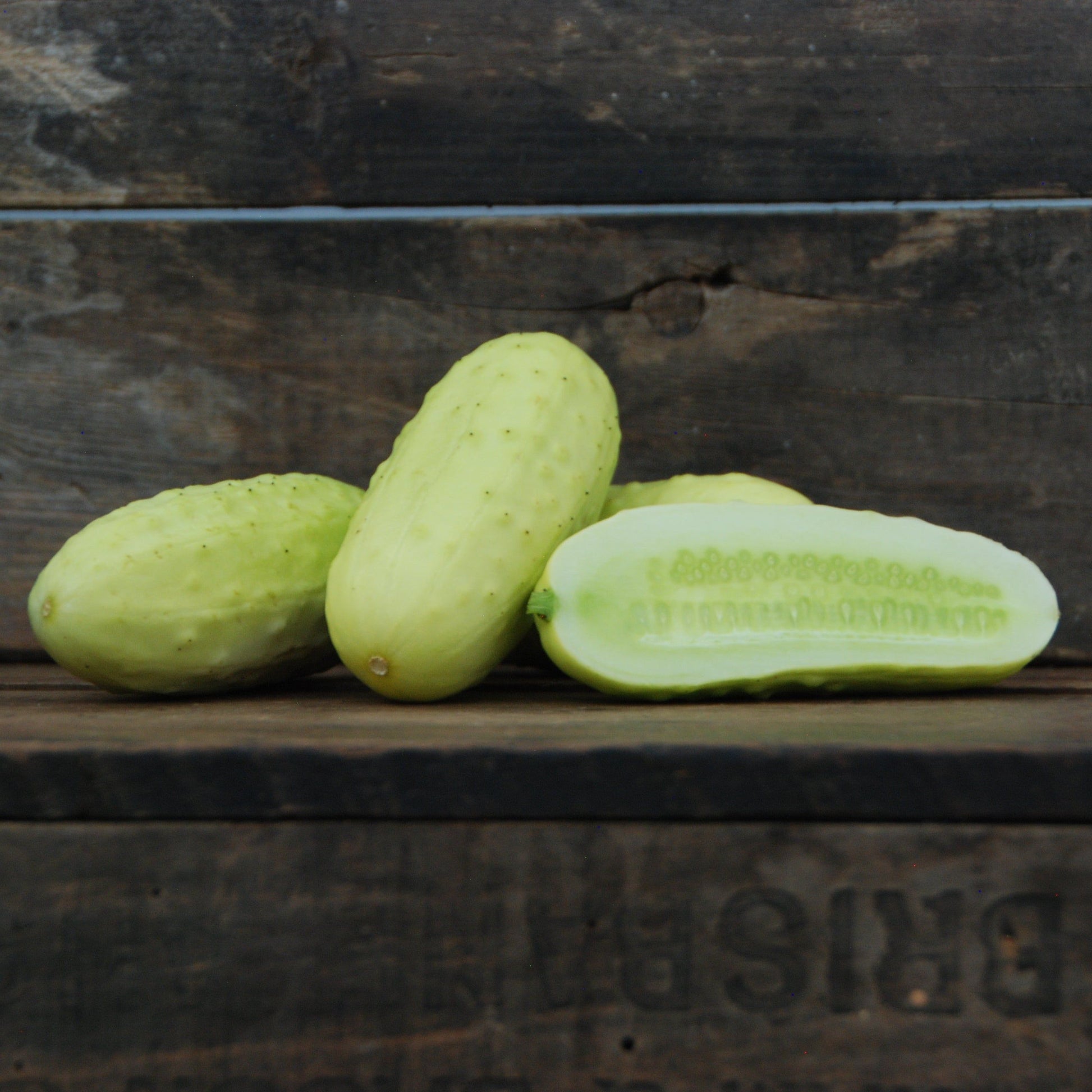 Three salt and pepper cucumbers on a wooden surface with a dark background