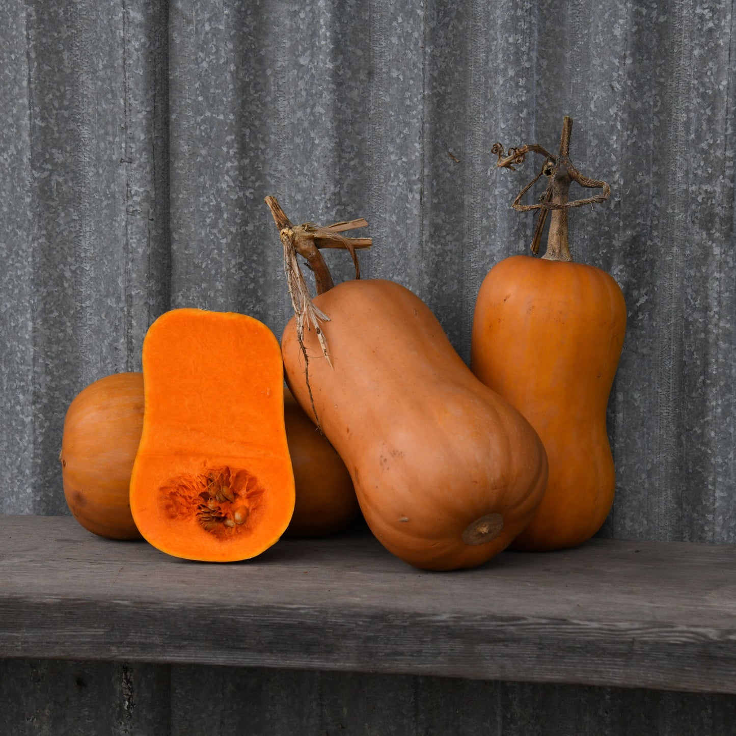 Butternut squash on a wooden surface with a corrugated metal background