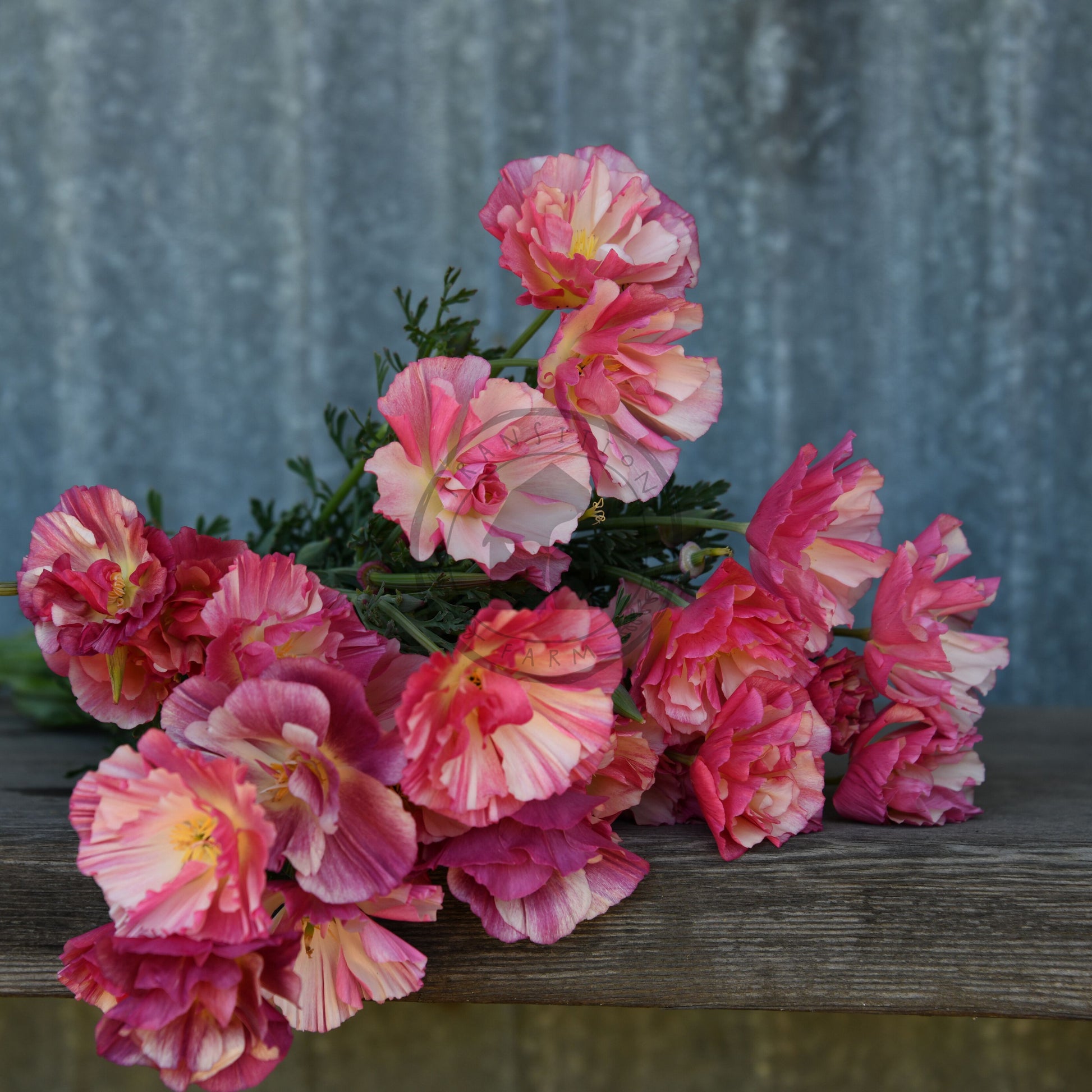 Bouquet of pink flowers on a wooden surface with a blurred background