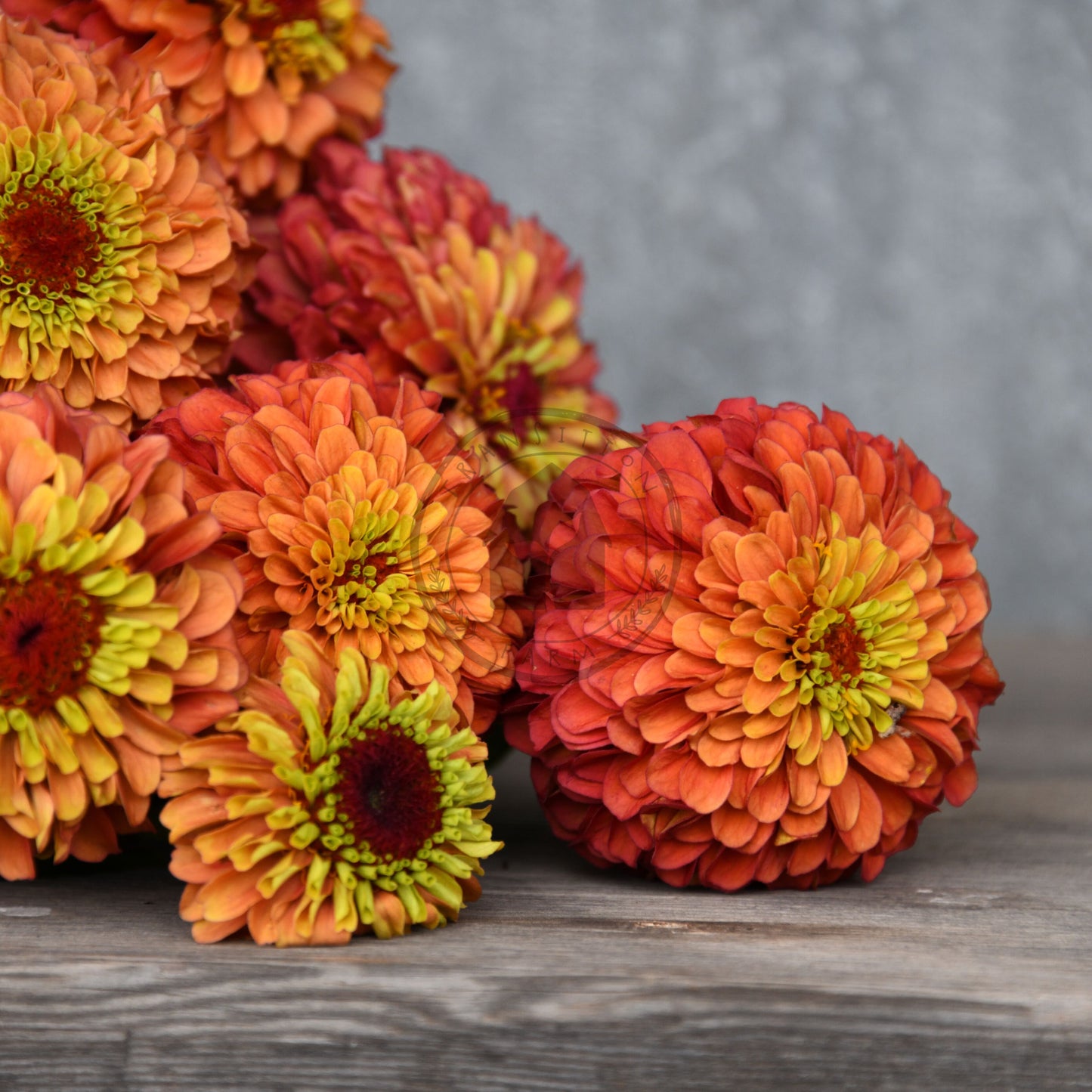 Bouquet of orange and yellow flowers on a wooden surface with a gray background