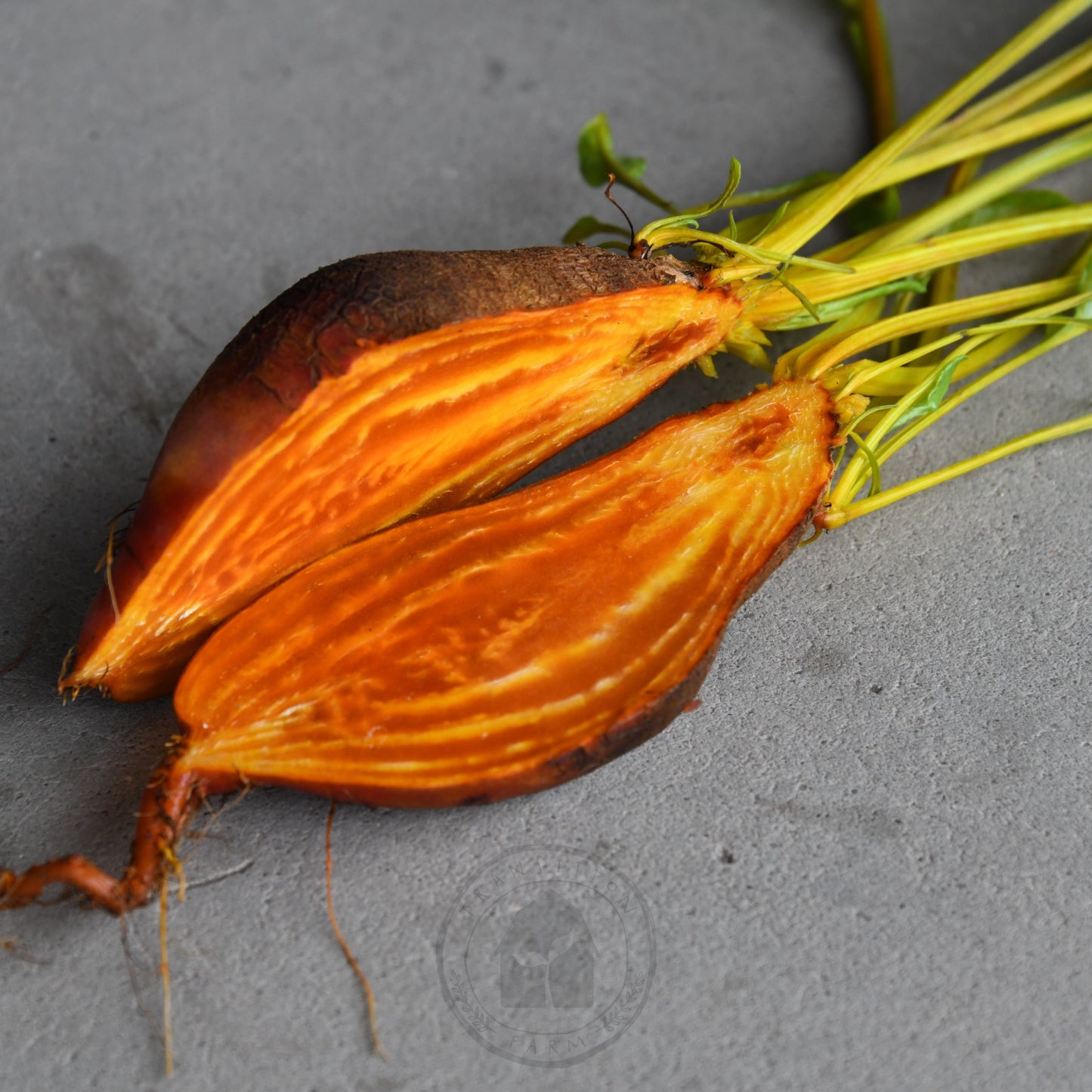 Beetroot 'Badger Flame'