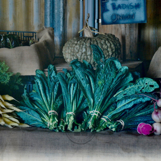 kale bunches at farm pick up