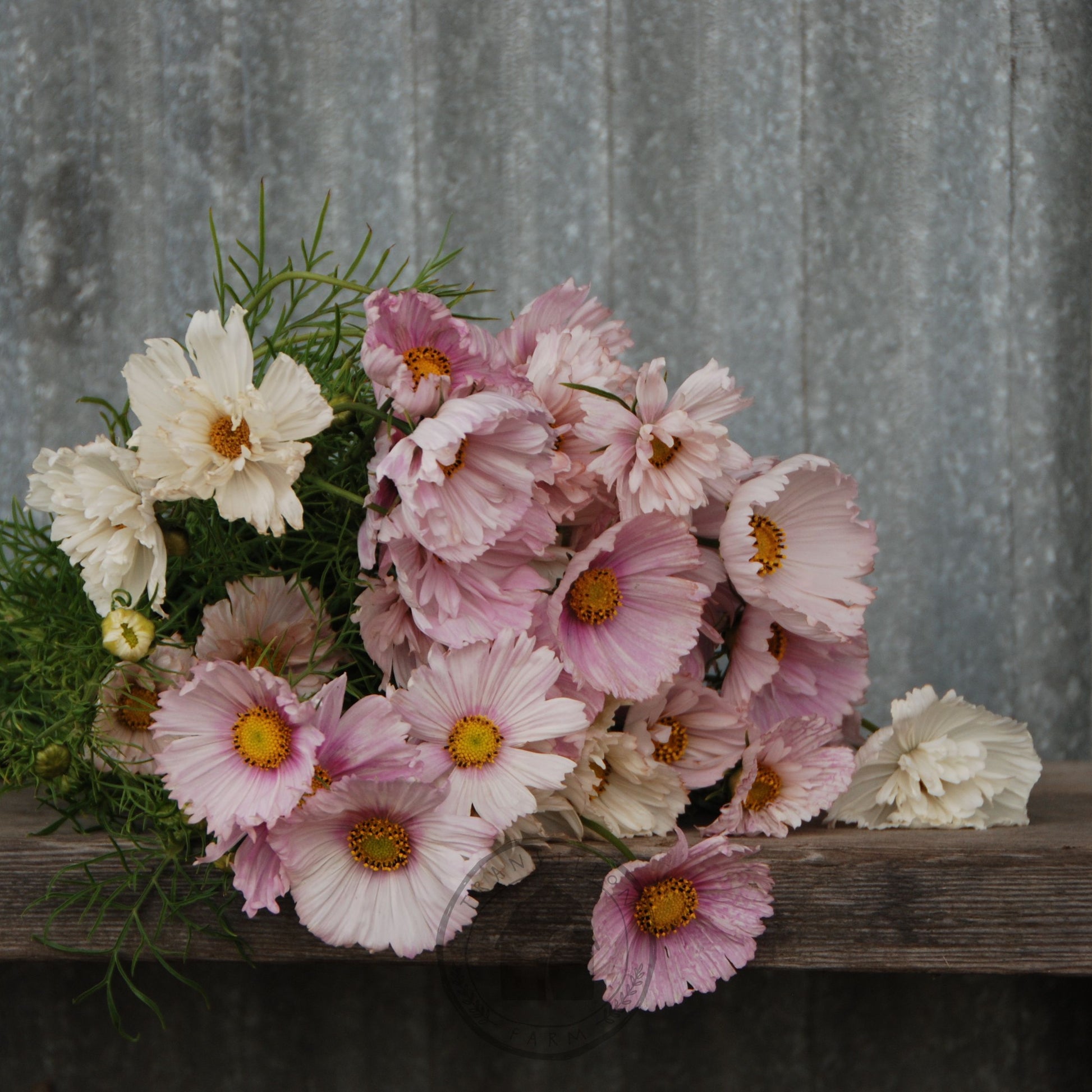 Bouquet of pink and white flowers on a wooden surface with a metal background