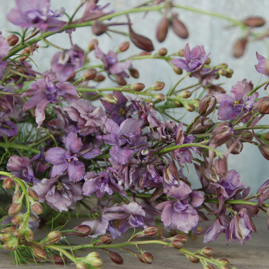 Bouquet of purple flowers with green stems on a wooden surface
