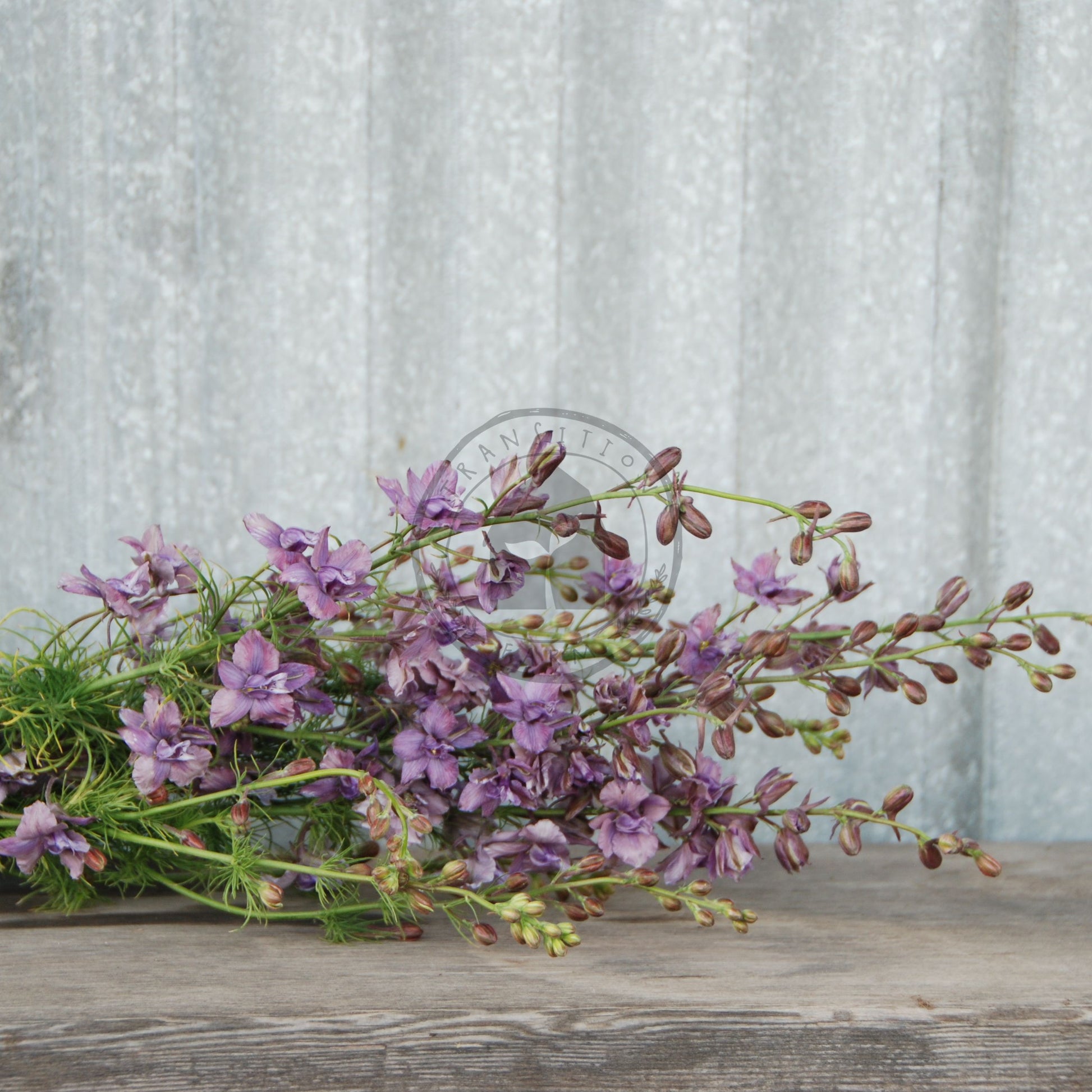 Purple flowers on a wooden surface with a textured gray background