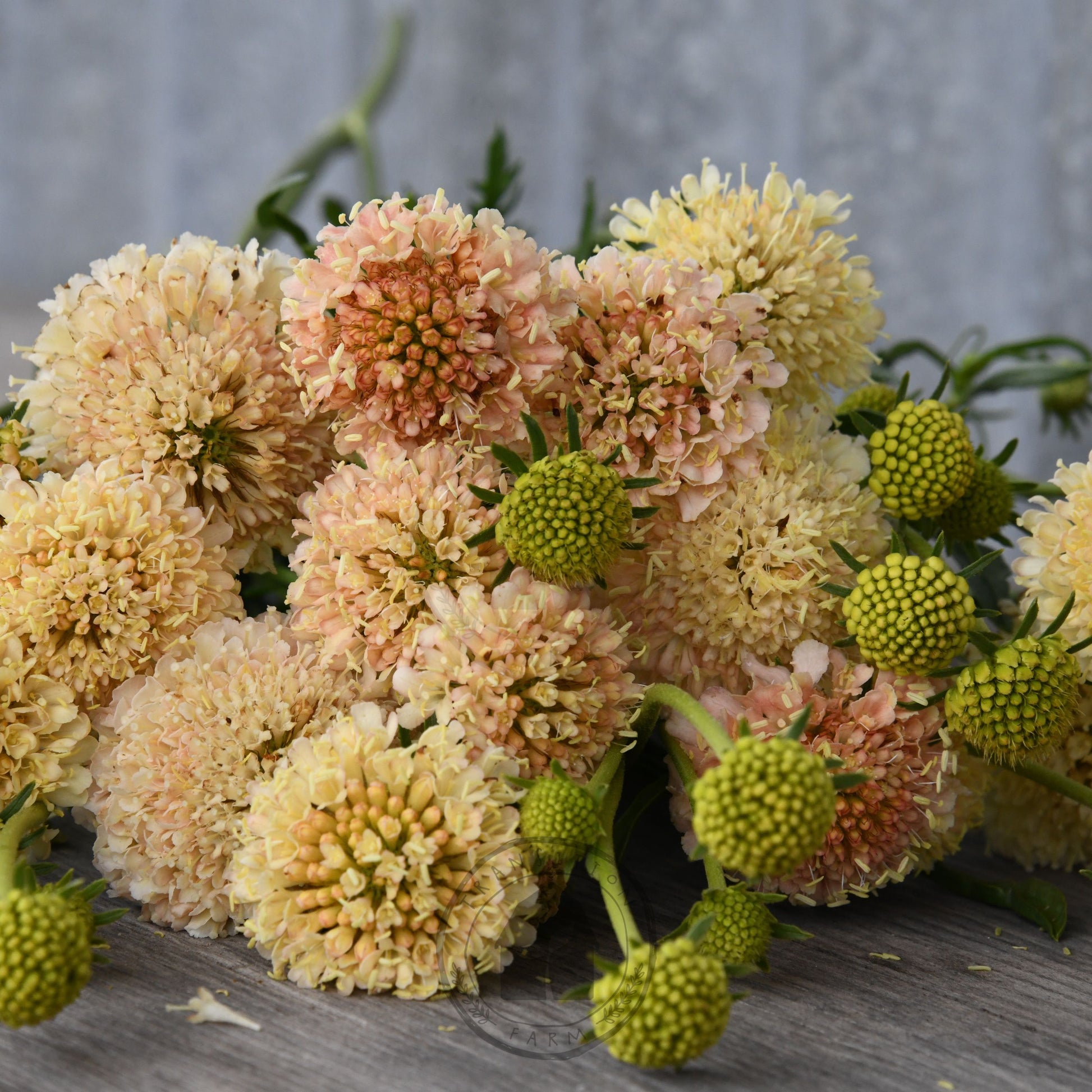 Bouquet of yellow and peach flowers on a wooden surface with a gray background