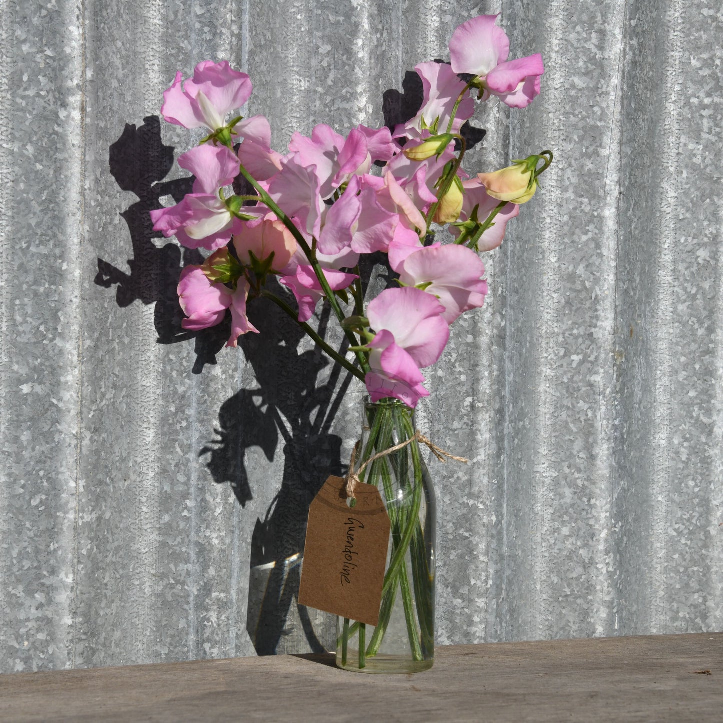 Pink flowers in a glass vase with a tag against a corrugated metal background