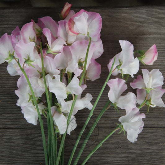 Bouquet of pink and white flowers on a wooden surface
