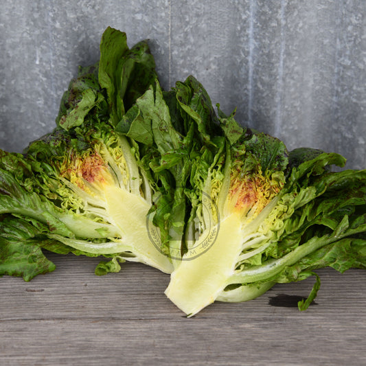 Sliced head of lettuce on a wooden surface with a gray background
