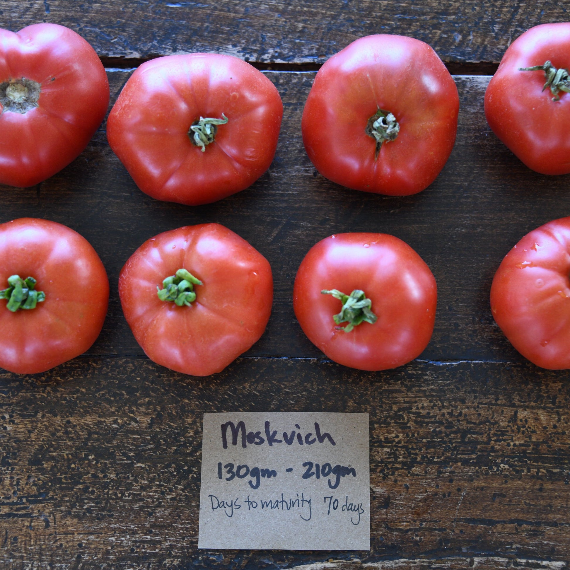 Nine red tomatoes on a wooden surface with a label indicating 'Moskvich' variety.