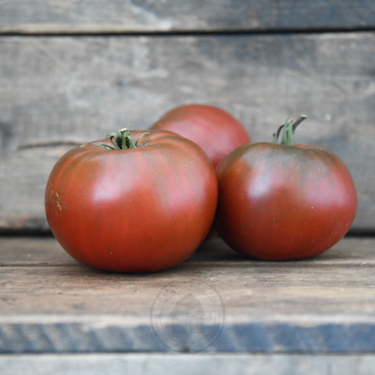 Tomato 'Paul Robeson'