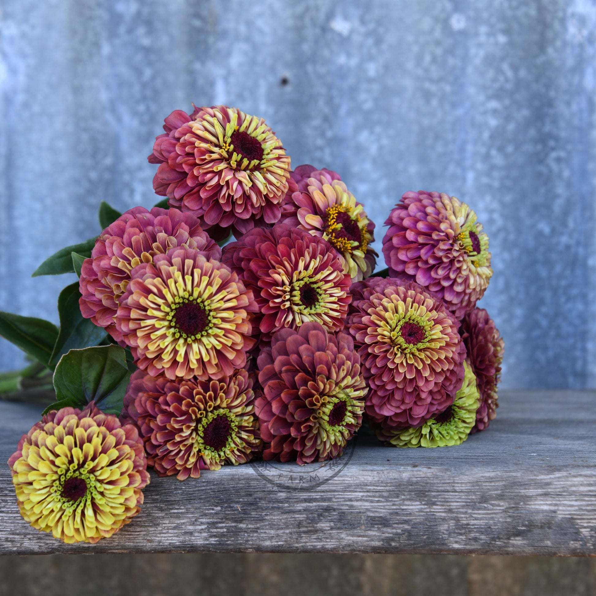 Bouquet of pink and yellow flowers on a wooden surface with a corrugated metal background