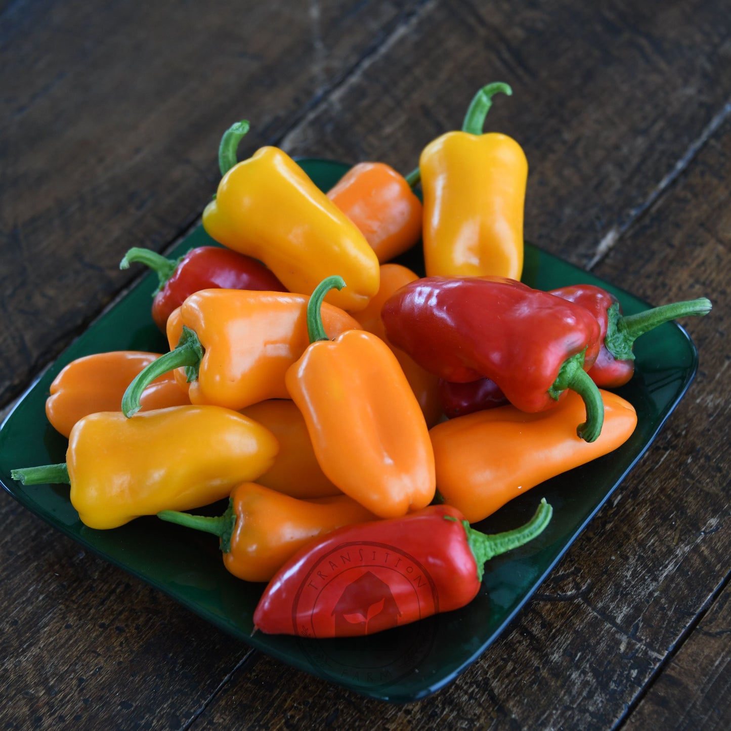 Capsicum 'Sweet Mini Yellow'
