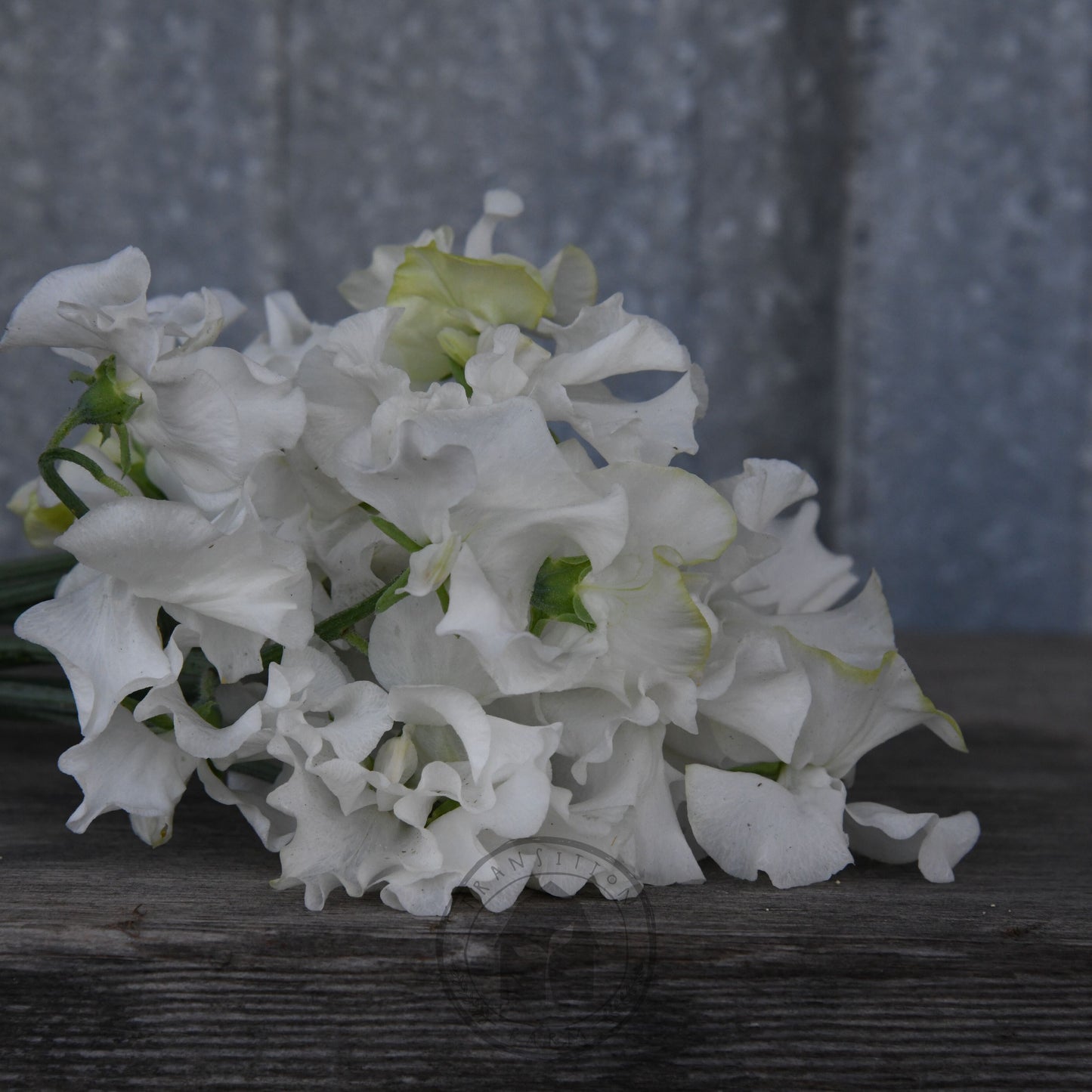 Bouquet of white flowers on a wooden surface with a blurred background