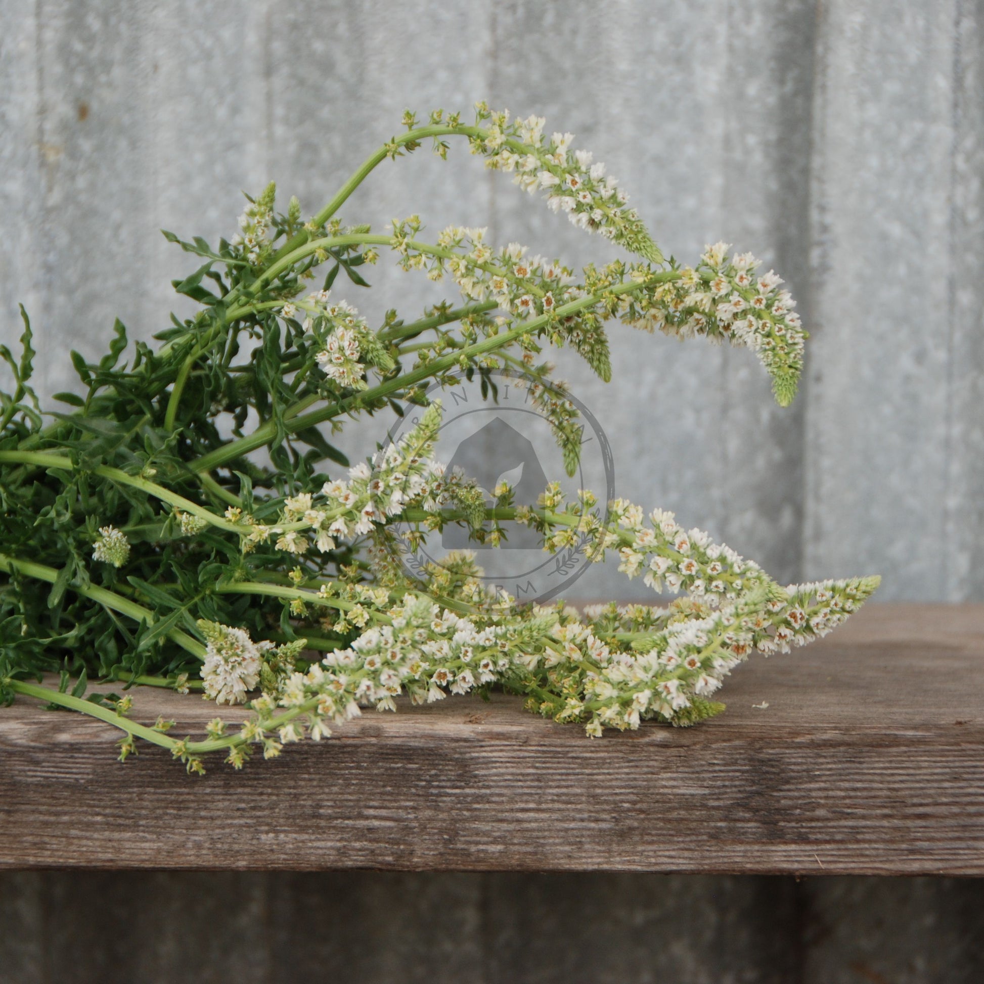 Bouquet of white flowers and green leaves on a wooden surface with a metallic background