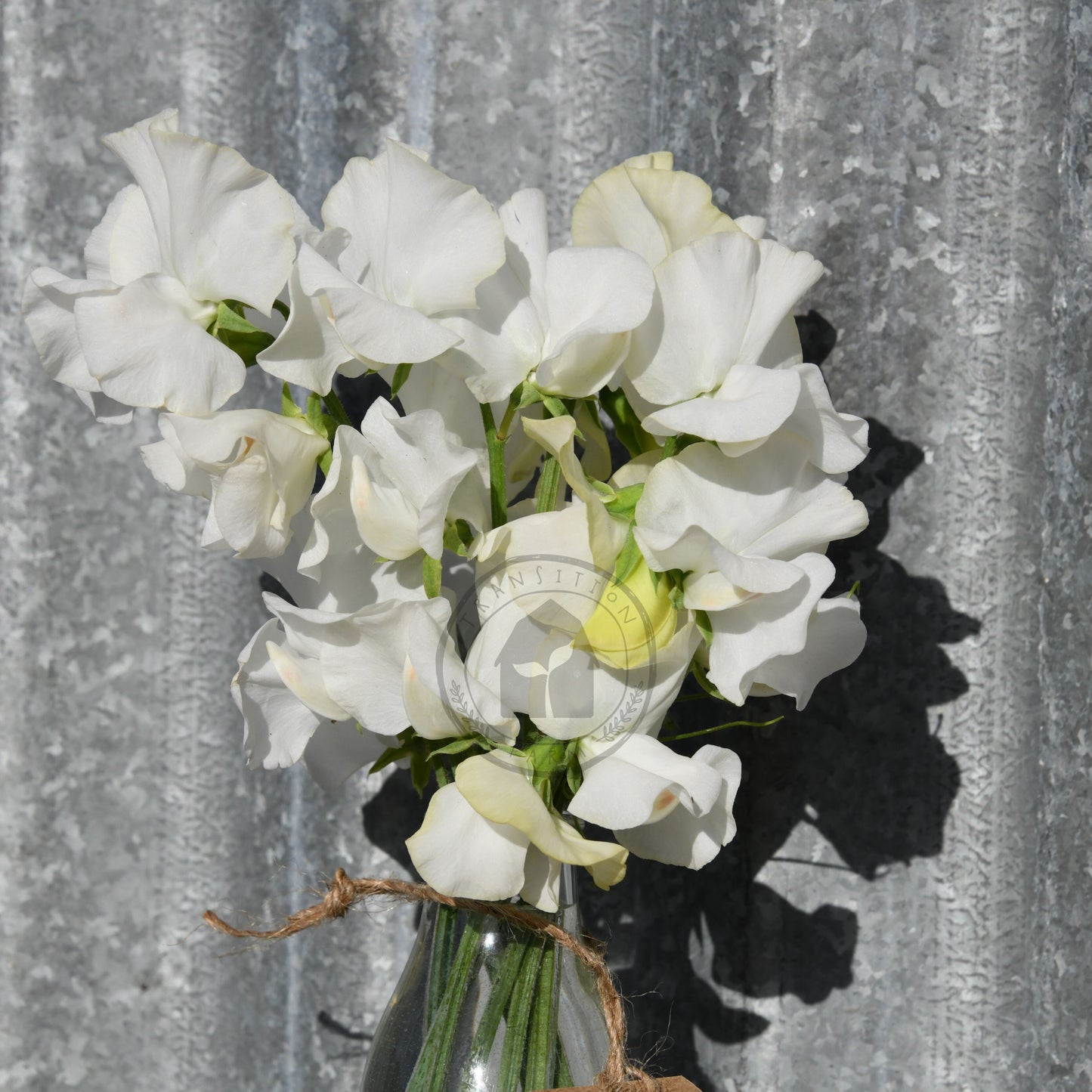 Bouquet of white flowers against a corrugated metal background