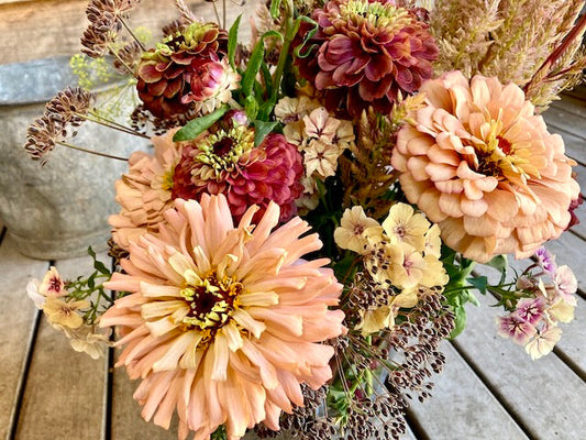 Transition Farm Field Notes - The Story Behind Our Zinnia Breeding – Part II: Learning to Breed Zinnias