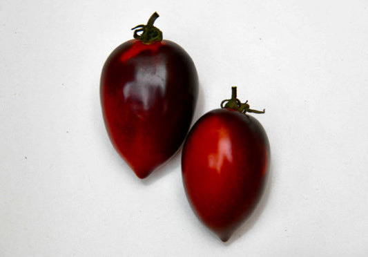 Midnight Roma Tomato- NEW RELEASE IN AUSTRALIA