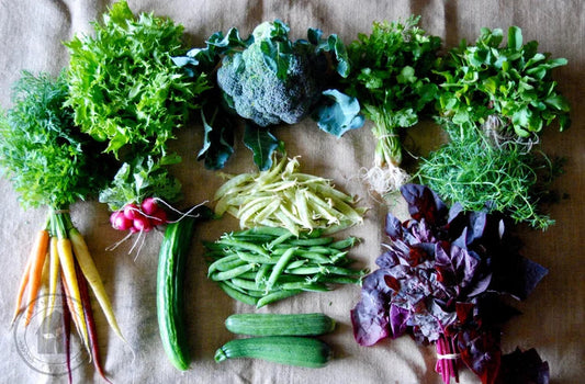 December Harvest from September sowing Southern States Australia Organic