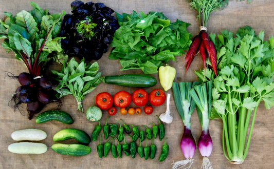 Sowing and Transplanting in October