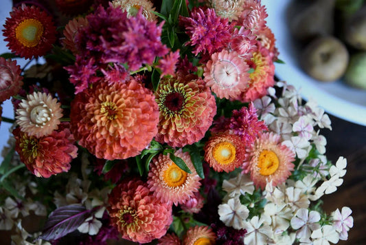 Easy to Grow Heat-Loving Flowers for Summer Colour