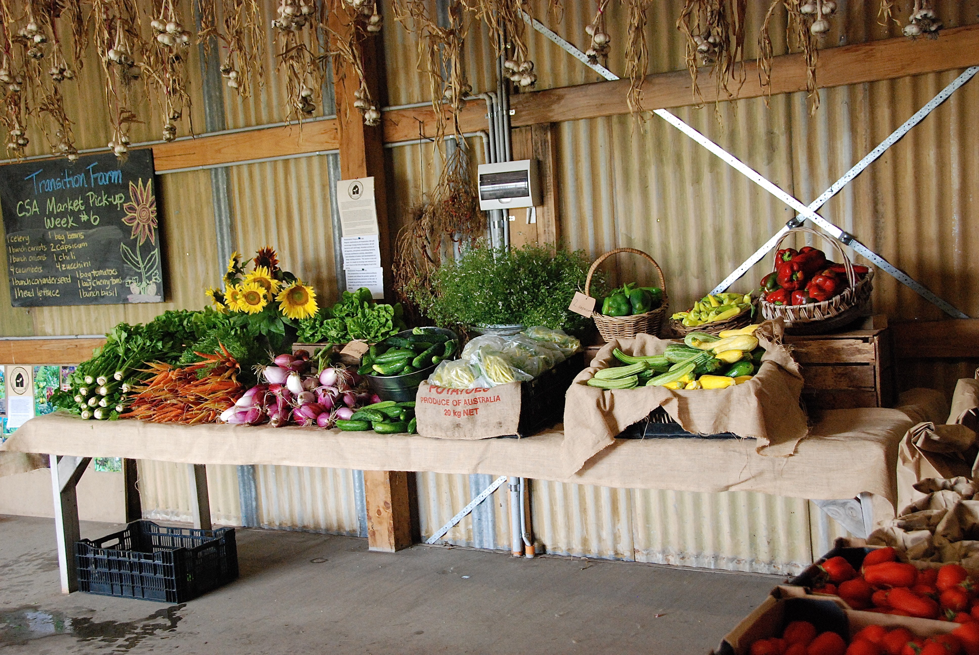 Endless Summer - Successive Planting – Page 2 – Transition Farm