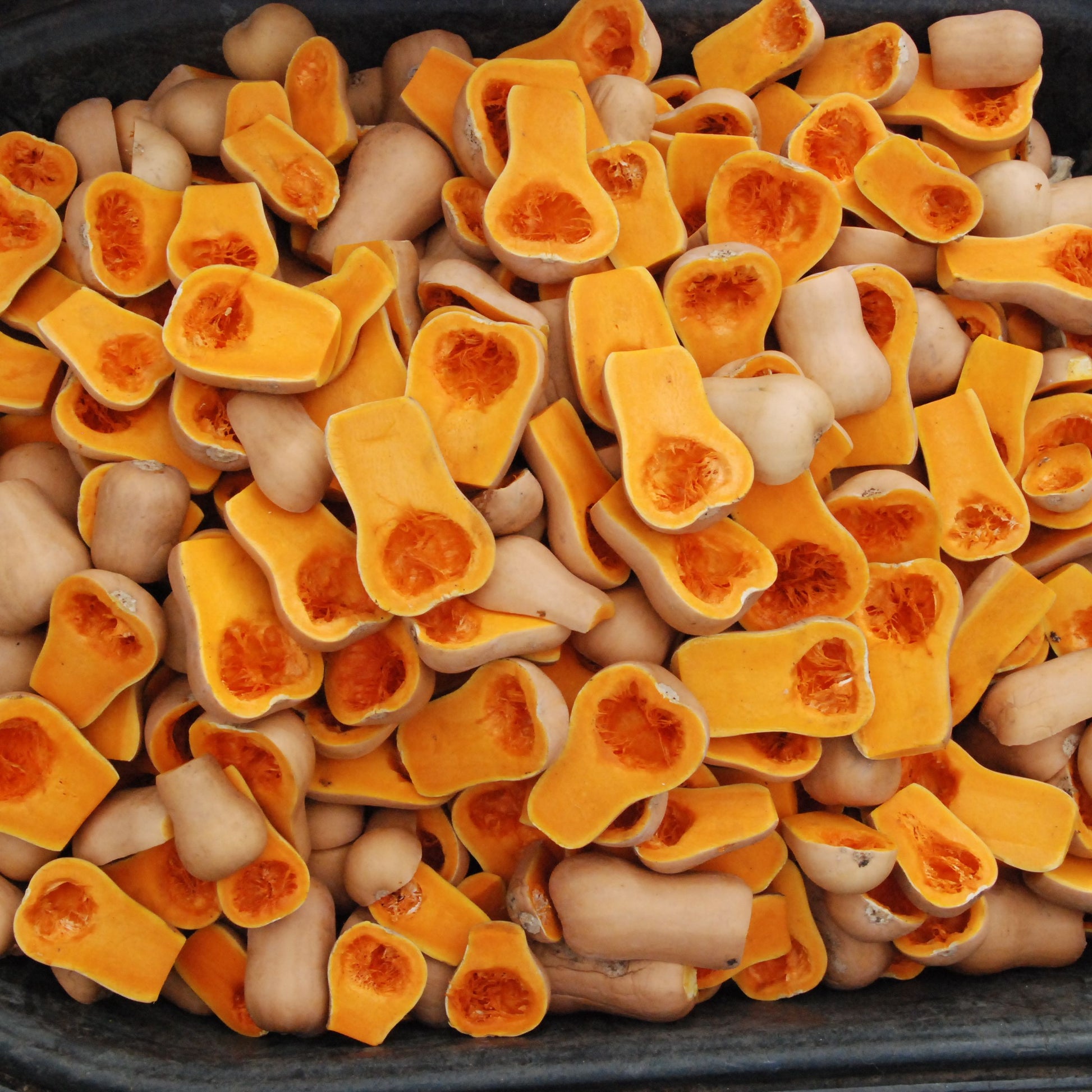 Butternut squash pieces in a black container