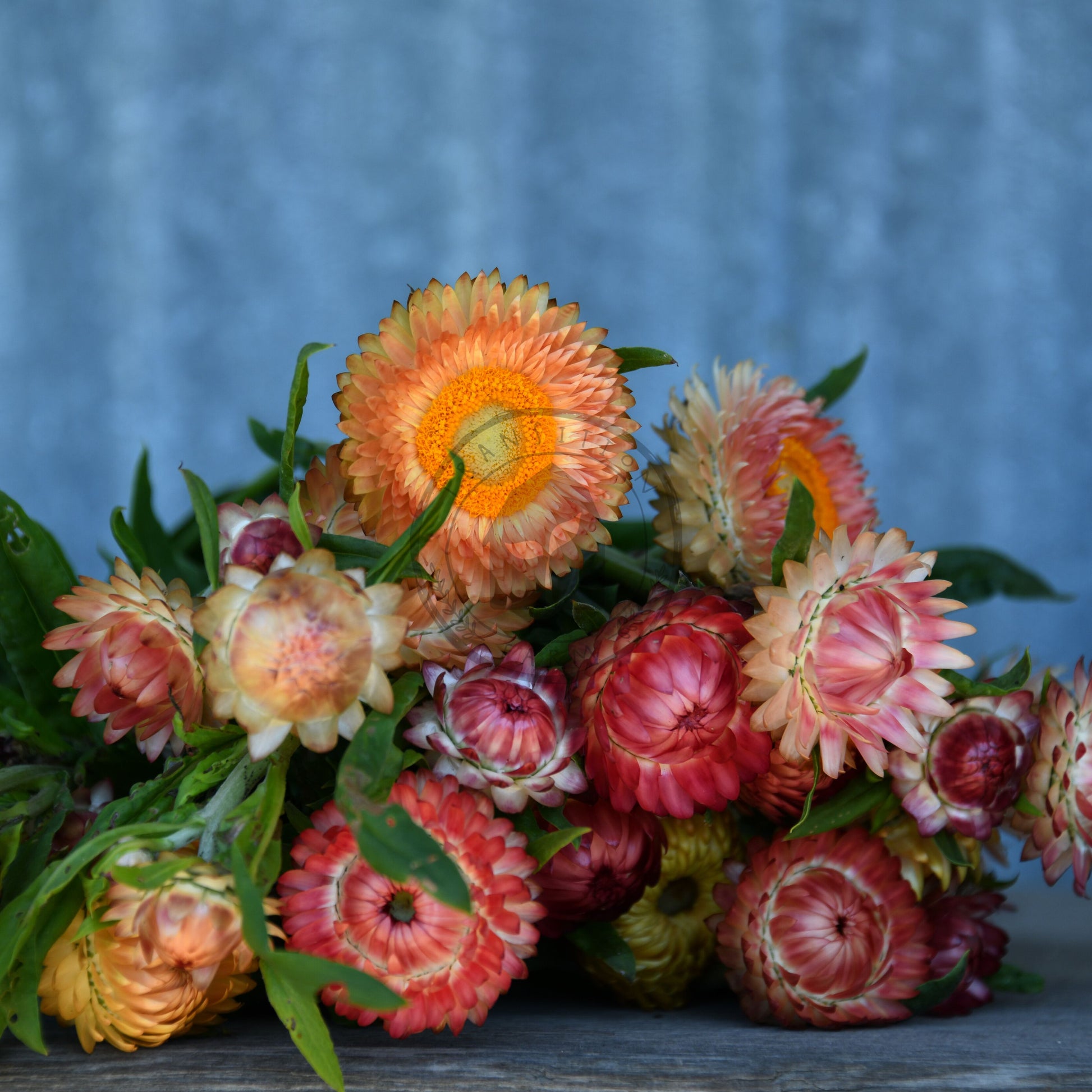 Bouquet of colorful flowers on a wooden surface with a blue textured background