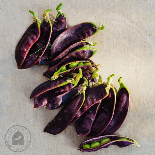 Purple bean pods with green beans on a textured surface